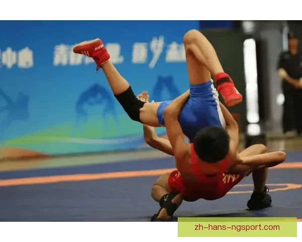 搏击风云：摔跤公开赛激情角逐